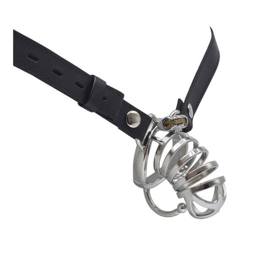 Bondage Cock Cage with Male Chastity Belt product view