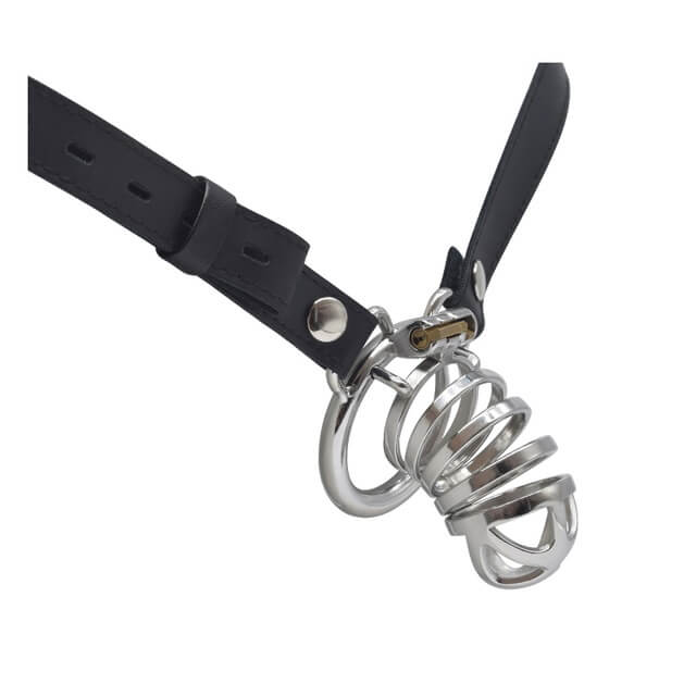 Bondage Cock Cage with Male Chastity Belt, gallery view 6