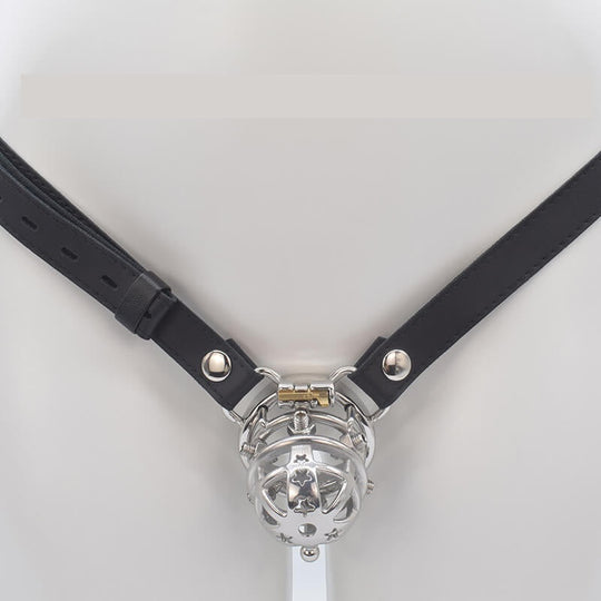 Brutal BDSM Chastity Cage with Belt product view