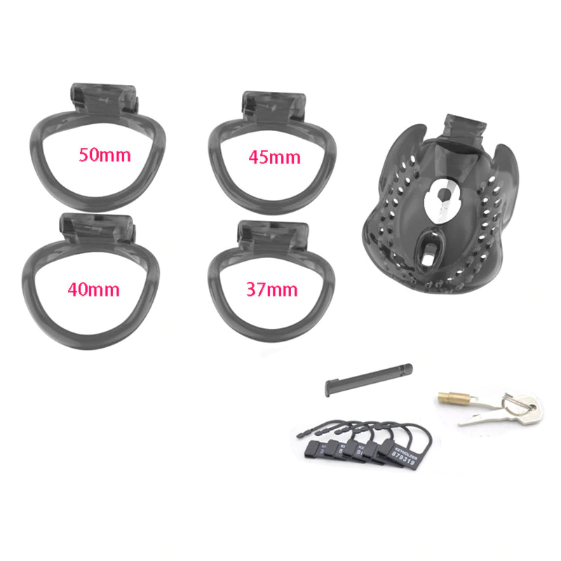 Isabella completely surrounds plastic chastity lock 3.38 Inches (All 4 rings Included), gallery view 5