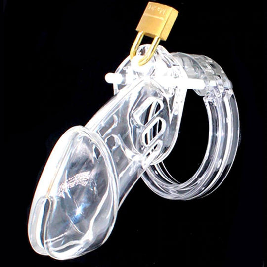 CB-6000 Male Chastity Device product view