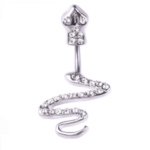 Sexy and Classy Female Genital Jewelry BDSM product view