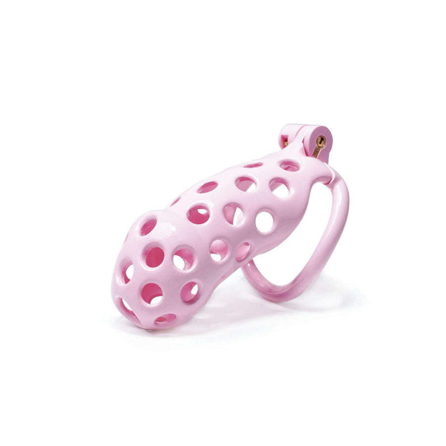 Hole Style Mamba Cock Cage with 4 Arc Rings, gallery view 3