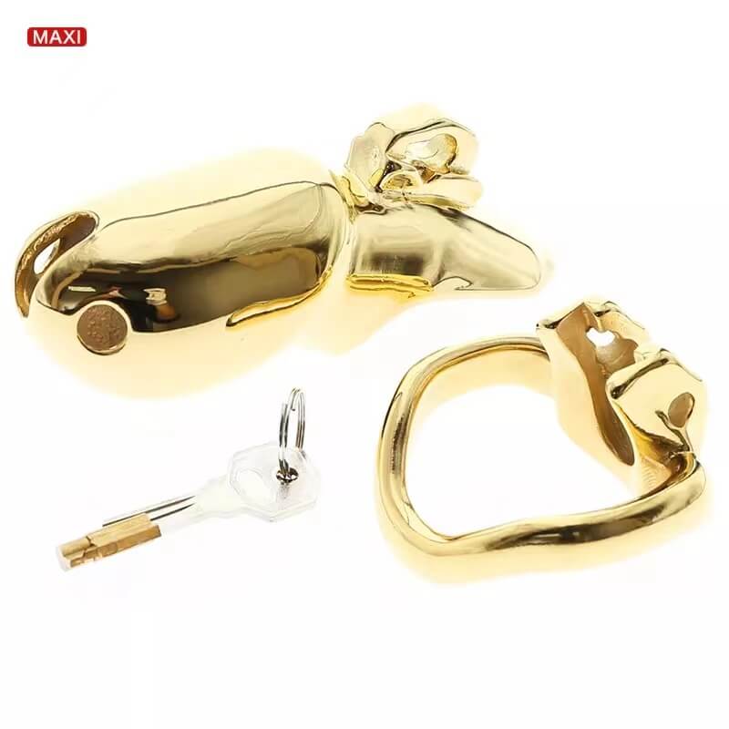 HTV3 Gold Chastity Cage, gallery view 11