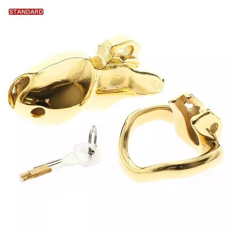 HTV3 Gold Chastity Cage, gallery view 8