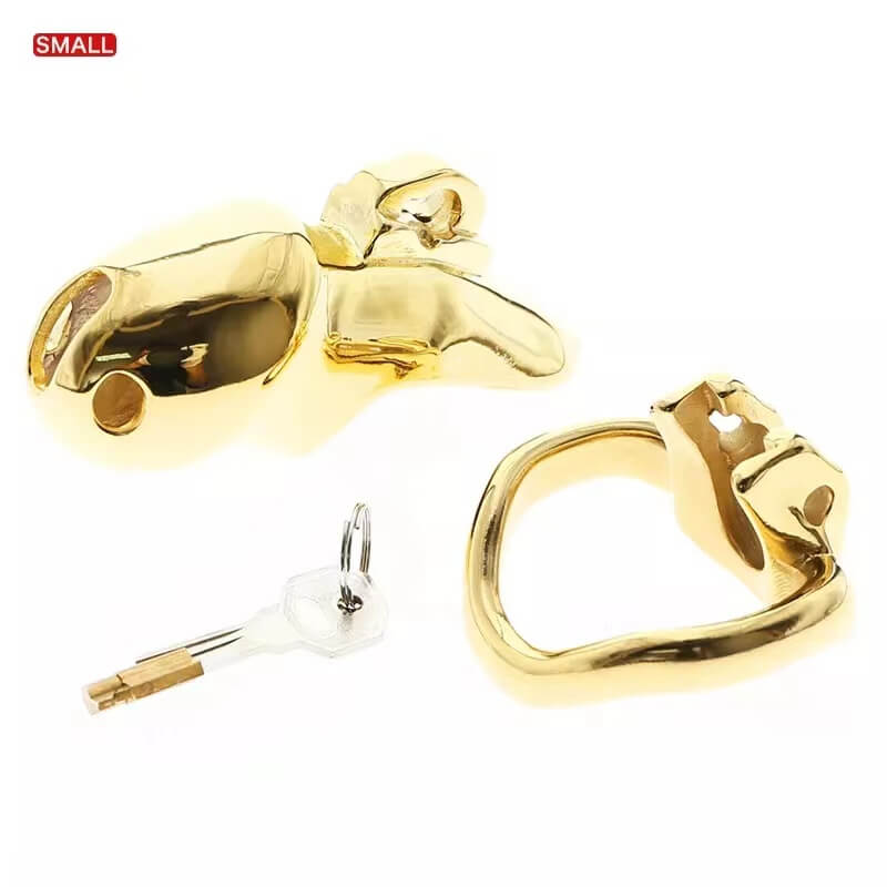 HTV3 Gold Chastity Cage, gallery view 7