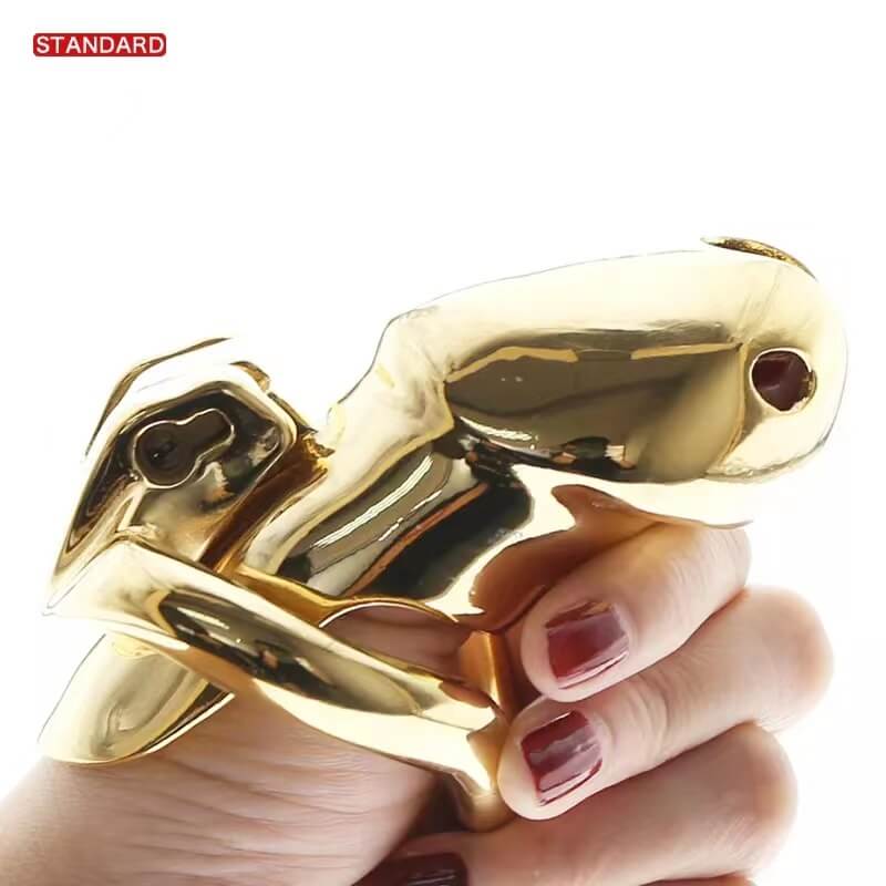 HTV3 Gold Chastity Cage, gallery view 9