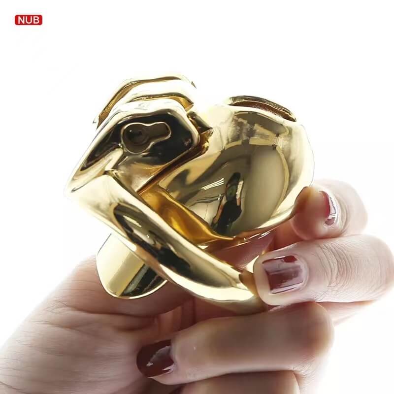 HTV3 Gold Chastity Cage, gallery view 2