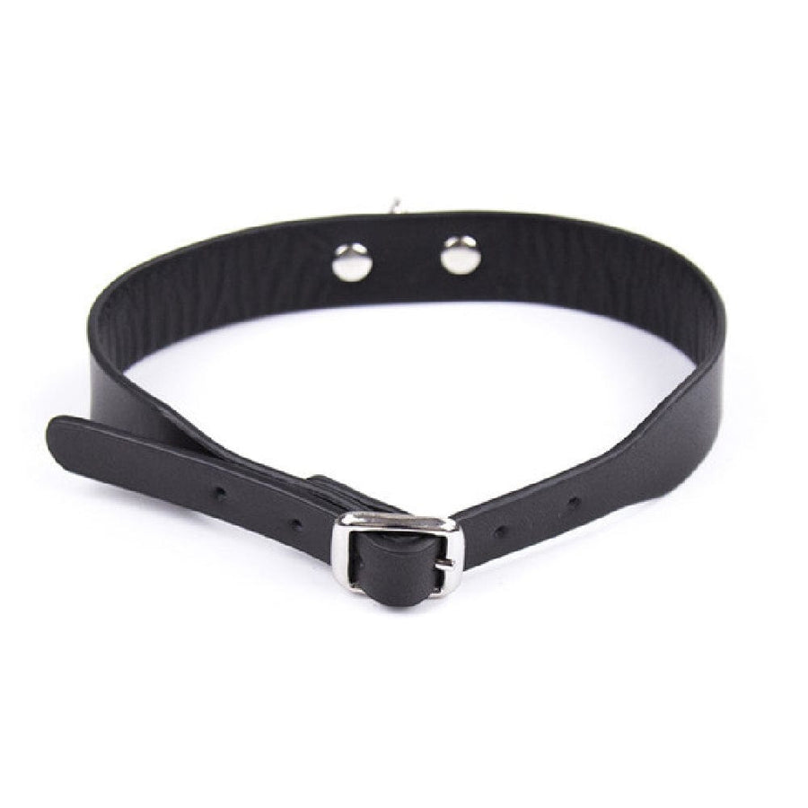 Slave for Life Male Sub Collar, gallery view 4