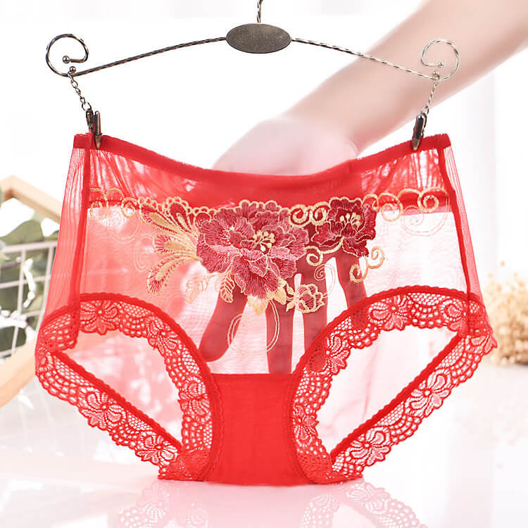Mesh Medium Waist Briefs, gallery view 7