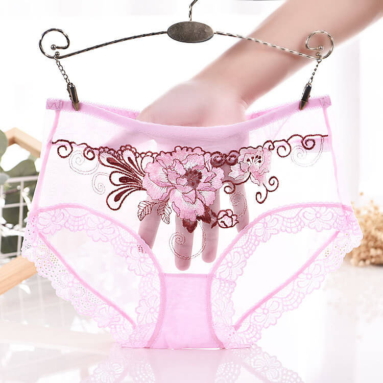 Mesh Medium Waist Briefs, gallery view 2