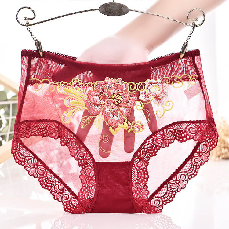 Mesh Medium Waist Briefs, gallery view 3
