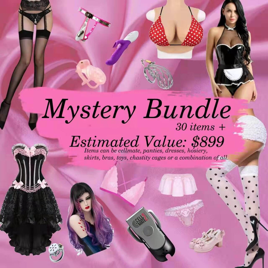 Mystery Bundle Valued $899.99 product view