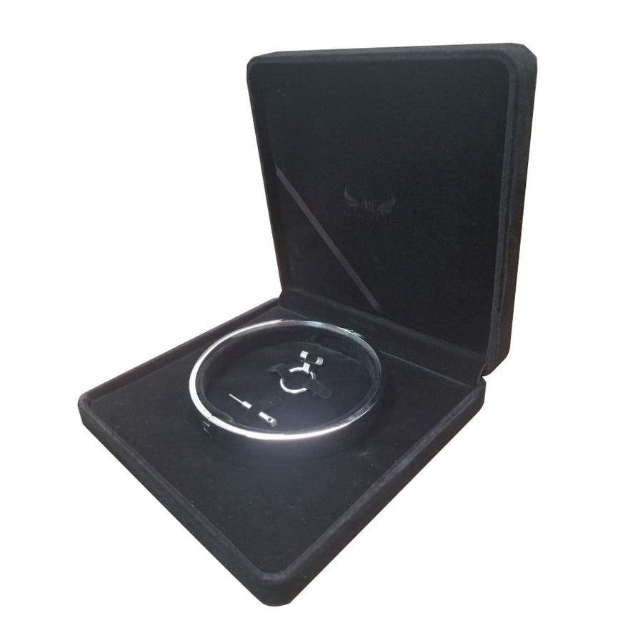 Submissive Slave Lockable Choker, gallery view 4