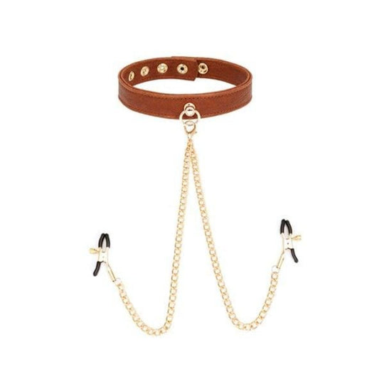 Premium Brown Designer S&M Collar product view
