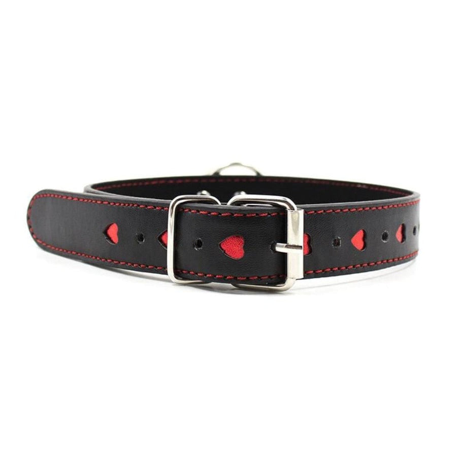 Total Surrender BDSM Pet Collar, gallery view 3