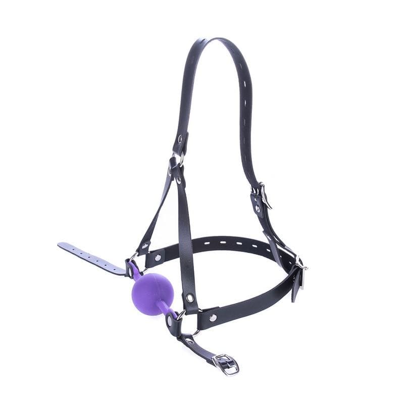 Restrictive Purple Ball Gag BDSM, gallery view 2
