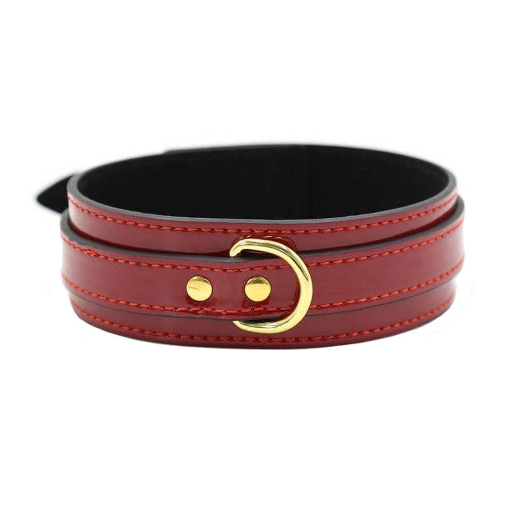 Gut verarbeitetes Leder-BDSM-Halsband