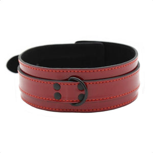 Gut verarbeitetes Leder-BDSM-Halsband