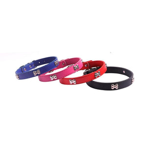 Dog Leash Control Collar for Humans