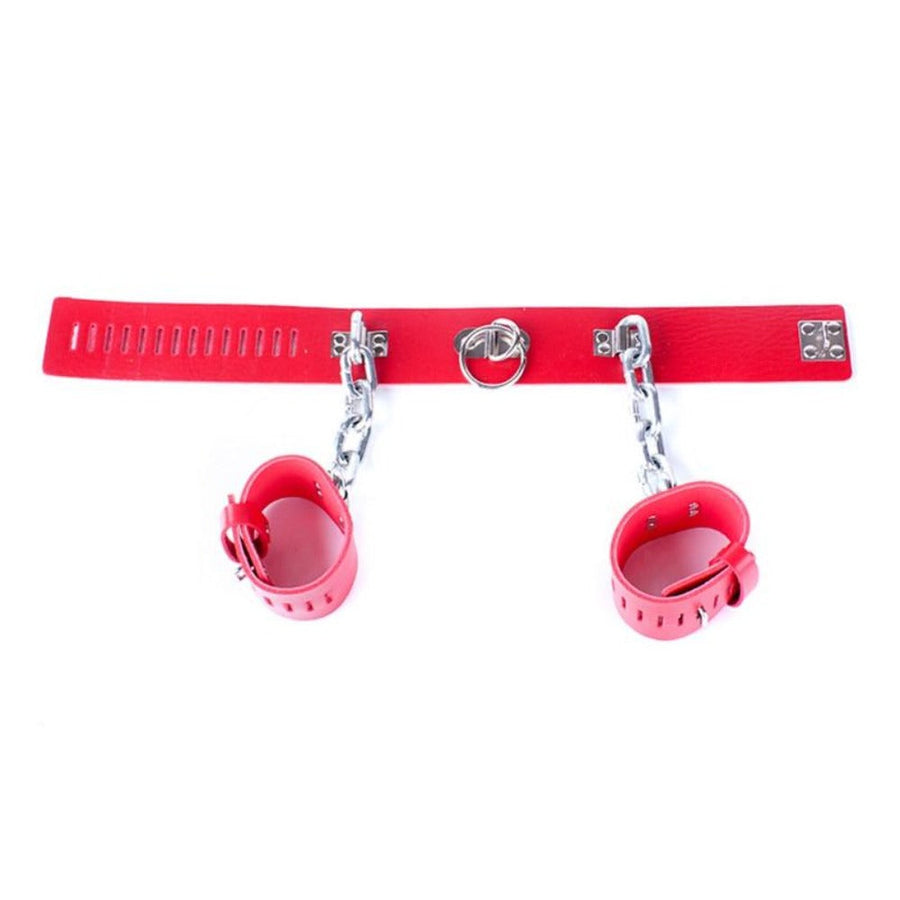 BDSM Collar Slavery, gallery view 7