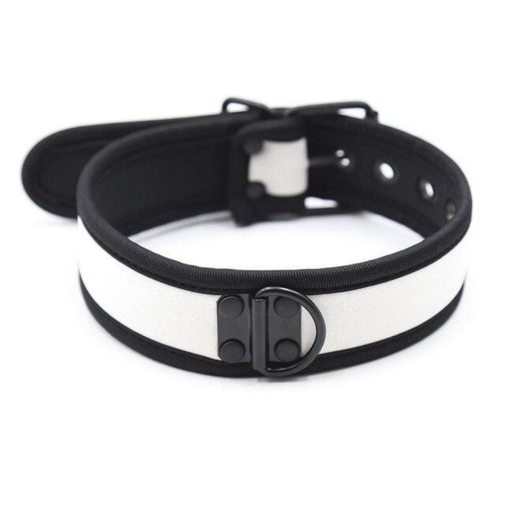 Nylon Adjustable D Ring ale