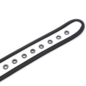 Nylon Adjustable D Ring ale