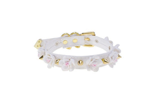 Spiked Halsband BDSM DDLG