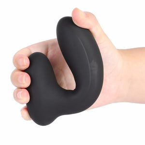 Remote Control Prostate Massager BDSM