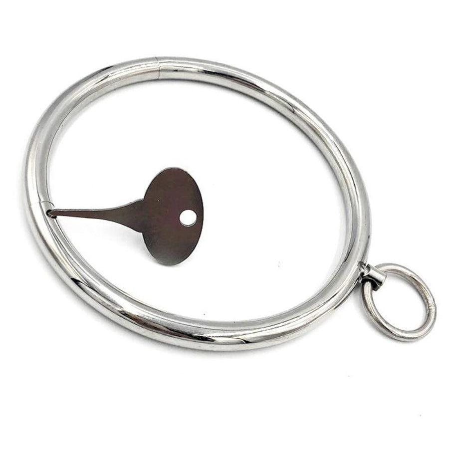Rounded Stainless Locking Eternity Collar, gallery view 2