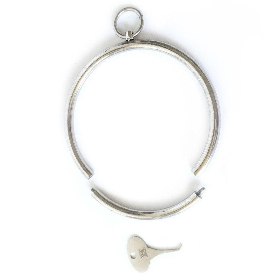 Rounded Stainless Locking Eternity Collar, gallery view 6