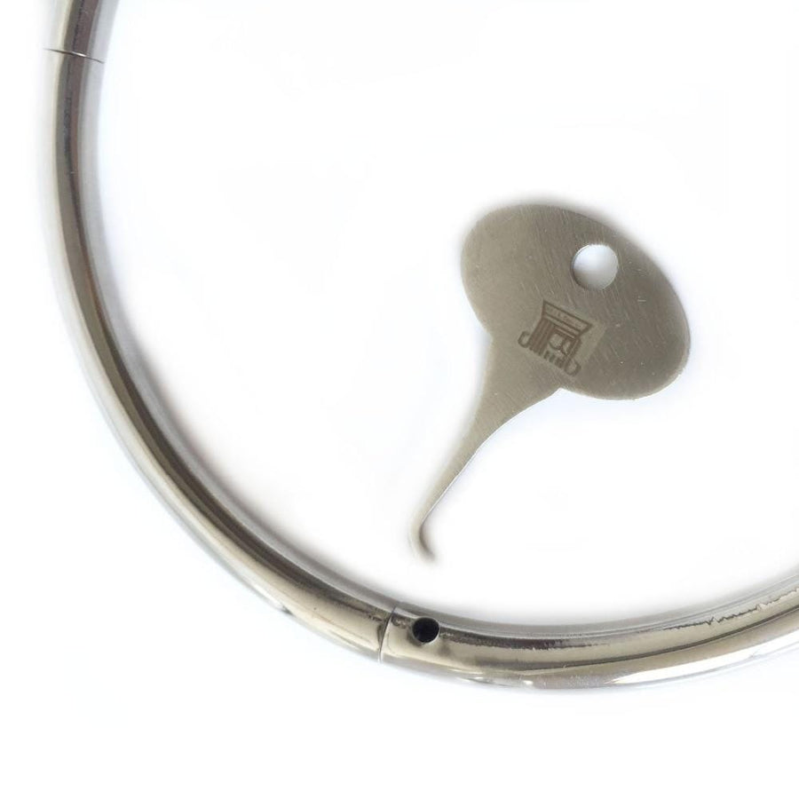 Rounded Stainless Locking Eternity Collar, gallery view 4