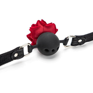 Girl's Fave Ball Gag BDSM