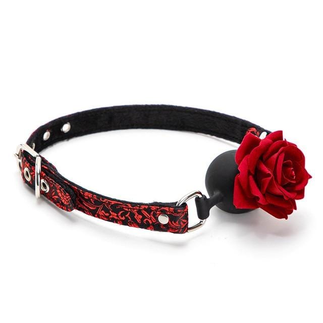 Girl's Fave Ball Gag BDSM product view
