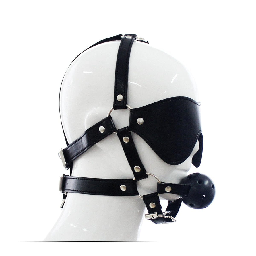 Total Submission Ball Gag Harness BDSM, gallery view 9