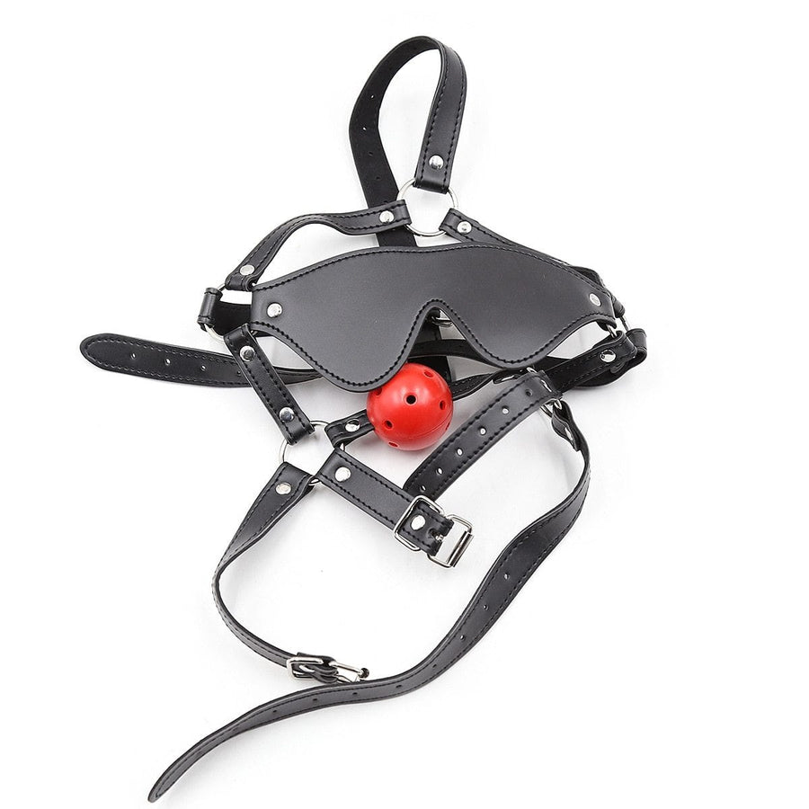 Total Submission Ball Gag Harness BDSM, gallery view 6