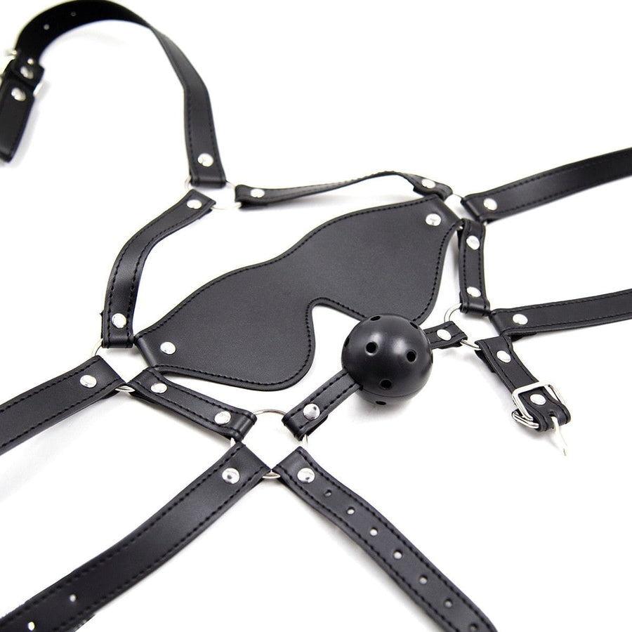 Total Submission Ball Gag Harness BDSM, gallery view 7