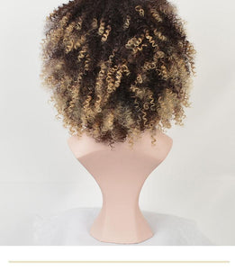 12 Inches Short Ombre Curly Wig