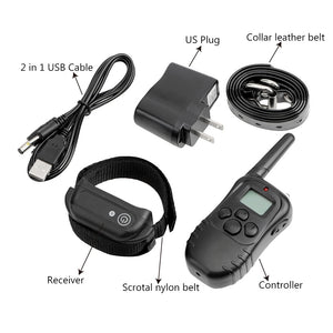 Shock Collar BDSM
