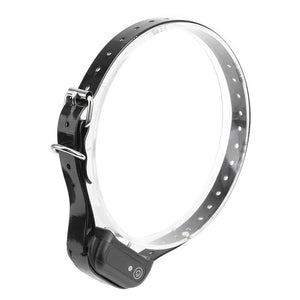 Shock Collar BDSM