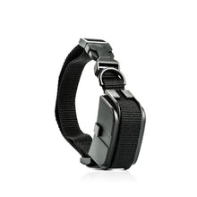 Lade das Bild in den Galerie-Viewer, Play Shock Collar mit Fernbedienung
