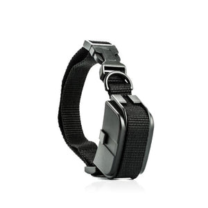 Play Shock Collar mit Fernbedienung