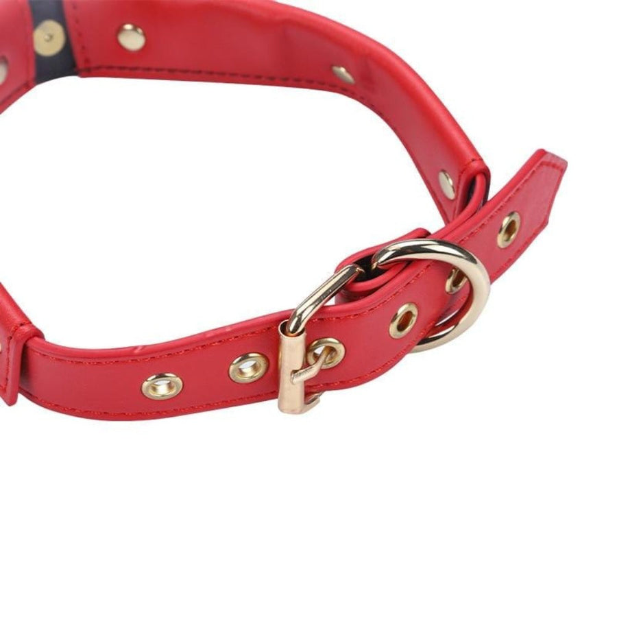 Modern Leather Tie Bondage Collar, gallery view 6