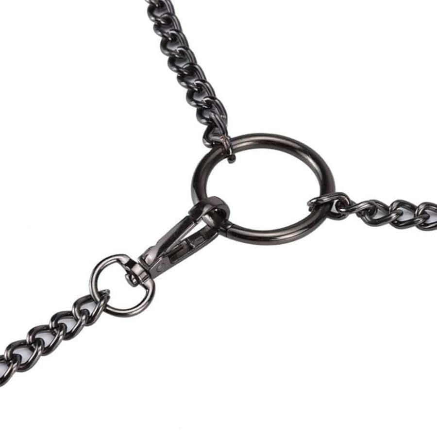 Total Control Iron Slave Collar, gallery view 4