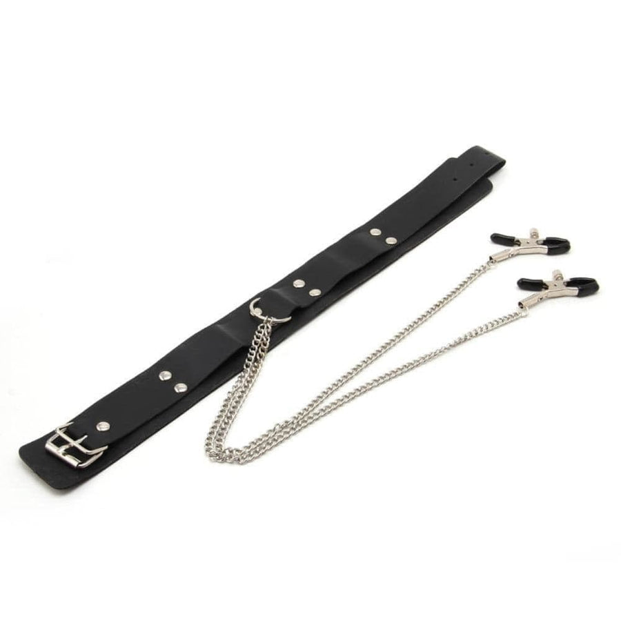 Slave Punishment Collar With Nipple Clamps, gallery view 2