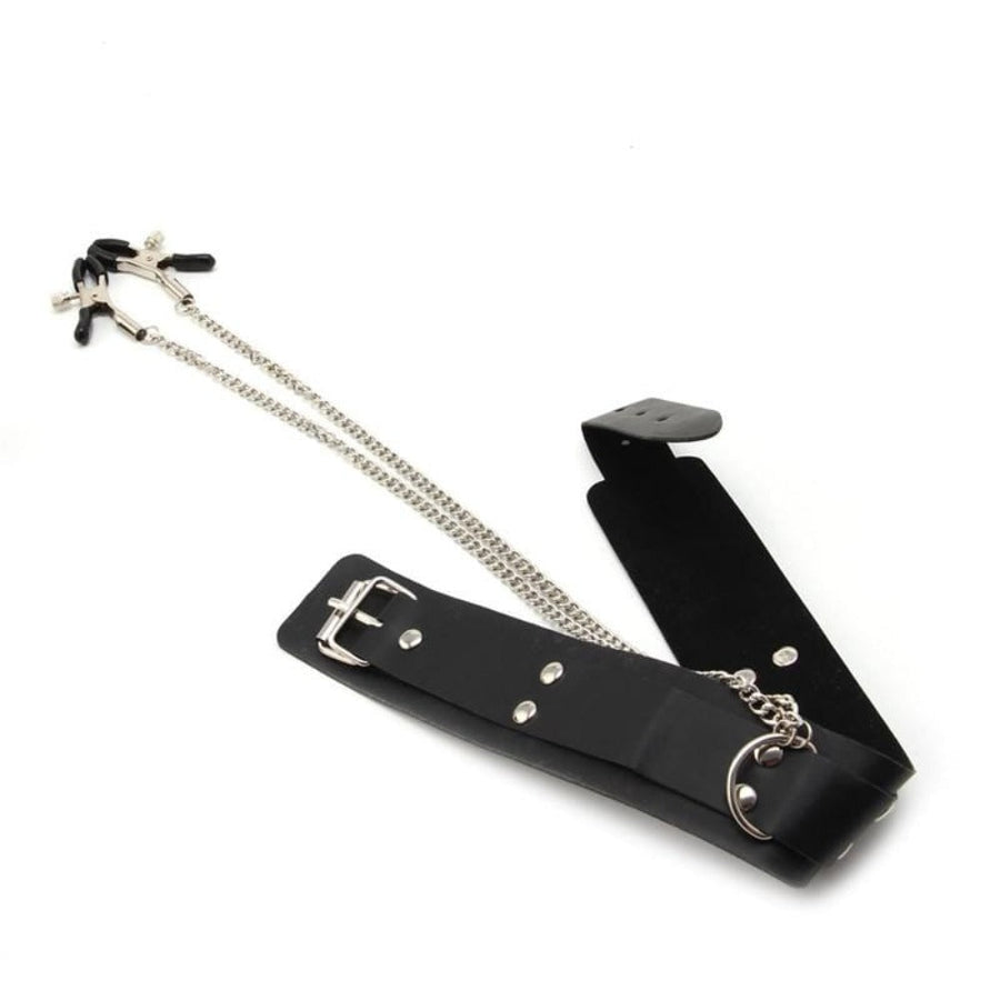 Slave Punishment Collar With Nipple Clamps, gallery view 3