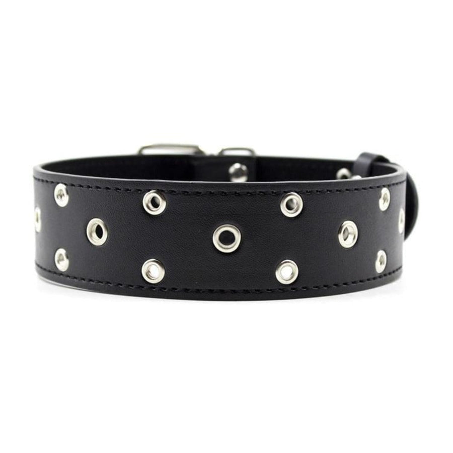 Sub's Trendy Perforated Black Collar product view