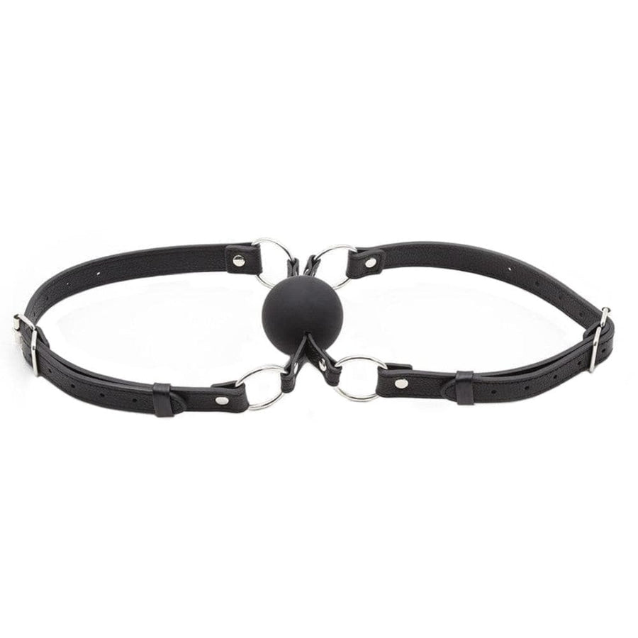 Liplock Bondage Double Ball Gag BDSM, gallery view 2