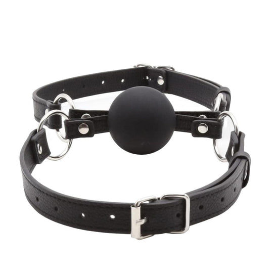 Liplock Bondage Double Ball Gag BDSM product view