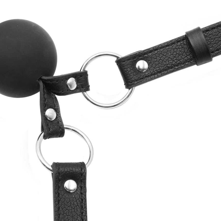 Liplock Bondage Double Ball Gag BDSM, gallery view 3